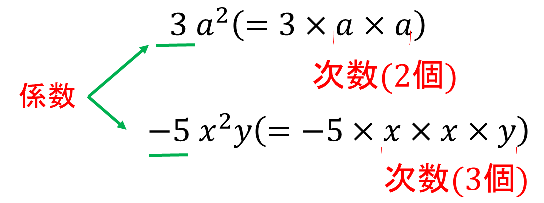 【数と式】単項式・多項式とは~係数・次数・同類項・降べきの順に整理~